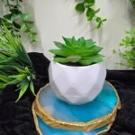 VRB Dec 1 Pcs Artificial Plants with Pot Plants Leaves Tropical Faux Succulent Plants Indoor Real Touch Succulent Plant for Home/Decor (Design 11) - Fast Shipping to USA & Canada