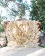 Xtore Dried 4 Pcs Off- White Pampas Grass for Home Decoration (Pack of 4, Off-White) | Imported Best in Class pampass Grass from Argentina - Fast Shipping to USA & Canada - Image 5