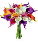 VRB Dec 5 Pcs Artificial Foam Tulip Flowers for Home, Office, Bedroom,Room Decoration, Restaurant Decoration and Craft (Mix Calla Lily, 5) - Fast Shipping to USA & Canada
