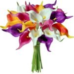 VRB Dec 5 Pcs Artificial Foam Tulip Flowers for Home, Office, Bedroom,Room Decoration, Restaurant Decoration and Craft (Mix Calla Lily, 5) - Fast Shipping to USA & Canada