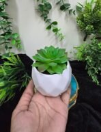 VRB Dec 1 Pcs Artificial Plants with Pot Plants Leaves Tropical Faux Succulent Plants Indoor Real Touch Succulent Plant for Home/Decor (Design 11) - Fast Shipping to USA & Canada - Image 2