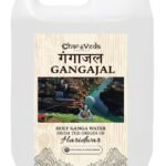 Charveda Organics Pure Gangajal | Holy Gangajal from Haridwar | For Puja, Havan & Home Purification - 5 Litre - Fast Shipping to USA & Canada