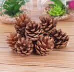 VRB Dec 24 pcs Hanging Chritmas Ornaments for Christmas Decorations Items/Chritmas Tree/Decoration Items Hanging Accessories for Home, Office, Bedroom, Balcony (Pine Cones - 24 Pcs) - Fast Shipping to USA & Canada