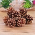 VRB Dec 24 pcs Hanging Chritmas Ornaments for Christmas Decorations Items/Chritmas Tree/Decoration Items Hanging Accessories for Home, Office, Bedroom, Balcony (Pine Cones - 24 Pcs) - Fast Shipping to USA & Canada