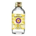 Deve Herbes Holy Ganga Water from The Origin of River Ganga at Devprayag in Clear Glass Bottle 100ml (3.38oz) - Fast Shipping to USA & Canada