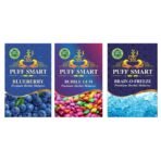 PUFF SMART Premium Herbal Flavor Bubblegum, Blueberry, Brain-o-Freeze Combo (100% Nicotine And Tobacco Free) - Fast Shipping to USA & Canada