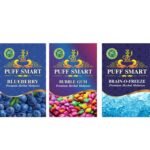 PUFF SMART Premium Herbal Flavor Bubblegum, Blueberry, Brain-o-Freeze Combo (100% Nicotine And Tobacco Free) - Fast Shipping to USA & Canada