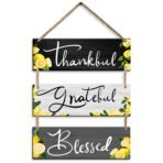 Sehaz Artworks Home Decor Items | Wall Hangings | Wall Decor for Living Room | Office |decorative items for home -3-0023 - Fast Shipping to USA & Canada