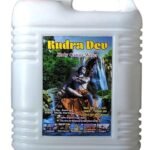 Kedarnath 5 litres Ganga Jal Filled from Uttarakhand Kedarnath | Kedarnath Gangajal (5 L, Unfiltred) for Pooja & Auspicious Works - Fast Shipping to USA & Canada