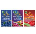 PUFF SMART Premium Herbal Flavor Bubblegum, Blueberry, Zafran Paan Combo (100% Nicotine And Tobacco Free) - Fast Shipping to USA & Canada