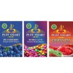 PUFF SMART Premium Herbal Flavor Bubblegum, Blueberry, Zafran Paan Combo (100% Nicotine And Tobacco Free) - Fast Shipping to USA & Canada