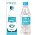 Gangotri purest Gangajal 330 ML (Pack of 6 Bottle) - Fast Shipping to USA & Canada