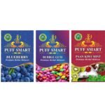 PUFF SMART Premium Herbal Flavor Bubblegum, Blueberry, Paan Kiwi Mint Combo (100% Nicotine And Tobacco Free) - Fast Shipping to USA & Canada
