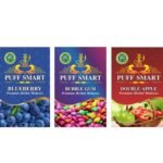 PUFF SMART Premium Herbal Flavor Bubblegum, Blueberry, Doube Applel Combo (100% Nicotine And Tobacco Free) - Fast Shipping to USA & Canada