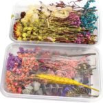 VRB DecTM 1 Box Natural Real Dried Flowers for Art Craft/rasin Art kit - Mixed & Multicolor for Soap, Artificial Candles,Scrapbook, DIY, Resin Tray Jewellery, Pendant (1 Box - Multicolor) - Fast Shipping to USA & Canada