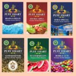 PUFF SMART Premium Herbal Flavor Brain Freeze, Double Apple, Dubai Special, Watermelon, Bubblegum, Comm, Combo (100% Nicotine and Tobacco Free) - Fast Shipping to USA & Canada
