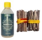 Pure Natural 200 ML Ganga-Jal for Puja Havan Rituals & Mango Wood, Aam Ki Lakdi for Havan Pooja Samagri Wood Fire 500gm - Fast Shipping to USA & Canada