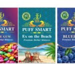 PUFF SMART Premium Herbal Flavor Bubblegum, Blueberry, Ex On The Beach Combo (100% Nicotine And Tobacco Free) - Fast Shipping to USA & Canada