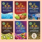 PUFF SMART Premium Herbal Flavor Brain Freeze, Double Apple, Dubai Special, Kiwi, Bubblegum, Comm, Combo (100% Nicotine and Tobacco Free) - Fast Shipping to USA & Canada