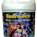 5 litres Kedarnath 100% Pure Original Natural Preminum ganga jal for puja | Ganga Water Directly from Kedarnath | (5 Litre, Unfiltered) - Fast Shipping to USA & Canada