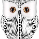 Xtore Modern Classy Lucky Owl Resin Art Figure Showpiece -(Pack of 1, White) - Fast Shipping to USA & Canada