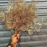 VRB Dec 1 Pcs Artificial Eucalyptus Gingko Leaves Faux Flowers Fake Flower for Home,Office Corner,Bedroom,Balcony,Living Room Decoration, Restaurant Decor and Craft (Pot NO Include (Golden Hearts Stick, 1) - Fast Shipping to USA & Canada