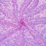 VRB Dec 1 MTR 40 Inch Net White Cloth for Decoration,Baby Photoshoot Props Cloth for Decoration,Parties,Costumes, Gift Packing,Party Decor,Backdrop for Wedding mandap,Pooja (Purple Tikli, 1 MTR) - Fast Shipping to USA & Canada